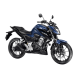 CB 300F TWISTER ABS